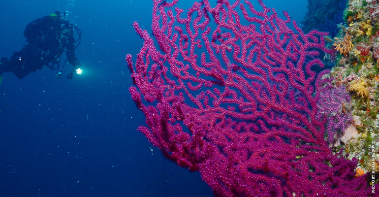 The deeper you go the more beautiful it gets