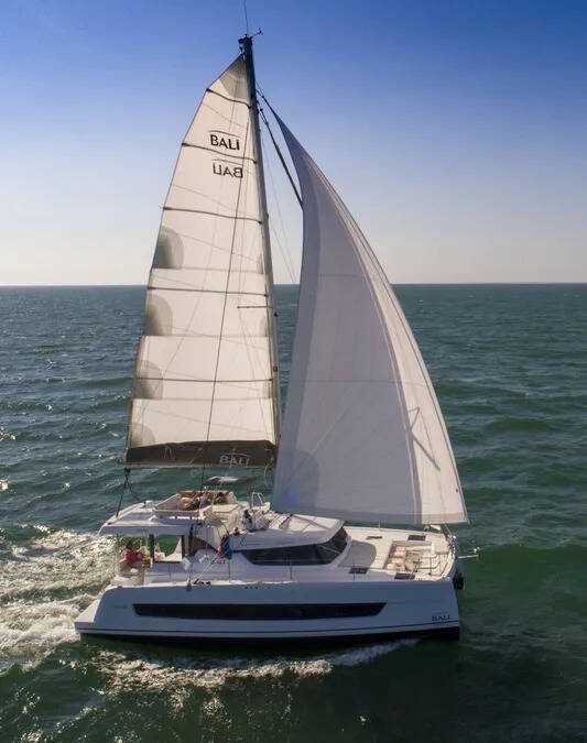 Bali Catspace Hasta La Vista